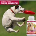 thumbnail image 3 of Suplemento Amazing Nutritionals de arándano para perros, 120 unidades masticables, 3 of 5