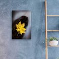 thumbnail image 4 of Epic Art 'Maple Leaf Stranded' by Thomas Haney, Acrylic Glass Wall Art, 16"x24", 4 of 8