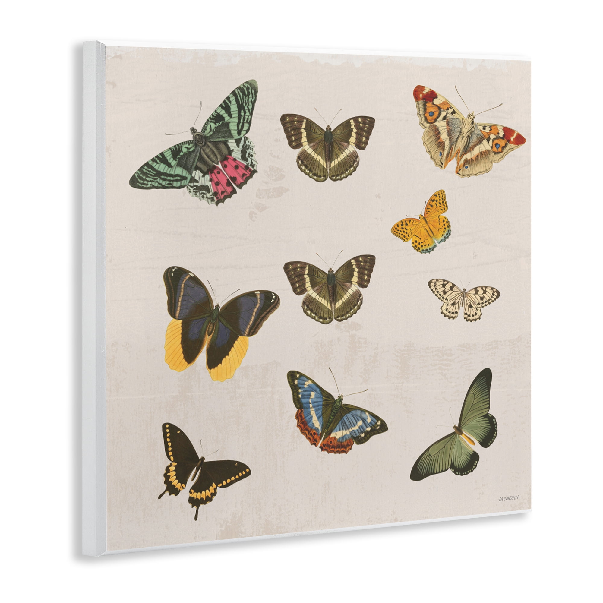 Stupell Industries Antique Butterfly Flight Wall Plaque Art, design by Dan Meneely
