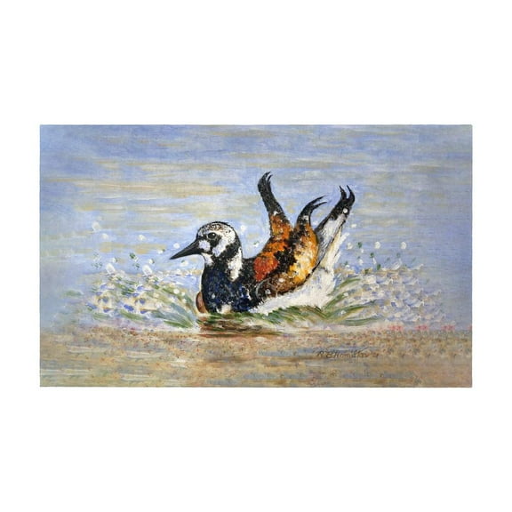 Betsy Drake Interiors Beach Bird Bath Door Mat 30x50