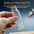 thumbnail image 3 of Small Starfish Star Sea Shell Beach Craft 0.4 Inch-1.2 Inch 450 Pcs, 3 of 4