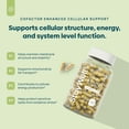 thumbnail image 4 of C15:0 Pentadecanoic Acid Supplement | Longevity, Cellular & Membrane Support, Micro-Granule Enhanced Absorption, Phosphatidylcholine, L-Carnitine, Ubiquinol CoQ10 & Tocotrienols – 120ct, 4 of 5