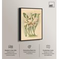 thumbnail image 2 of Elegant Specimen Canvas Print Botanical Art by Art Remedy, Black Frame, 30 x 45, 2 of 6