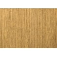thumbnail image 1 of Ahgly Company Indoor Rectangle Abstract Brown Modern Area Rugs, 2' x 3', 1 of 4