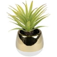 thumbnail image 6 of Northlight Artificial Agave Plant in Gold Ceramic Pot - 7", 6 of 7