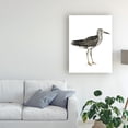 thumbnail image 3 of Trademark Fine Art 'Sea Bird Iii' Canvas Art by Grace Popp, 3 of 3