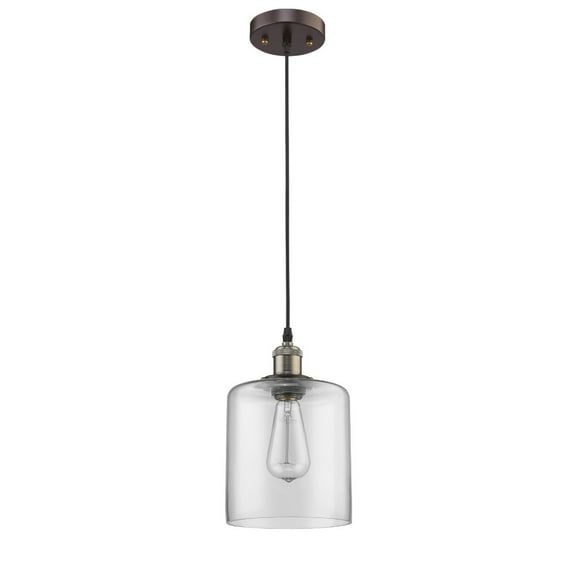 7 Inch Glass Shade Metal Pendant Light with Edison Bulb, Bronze