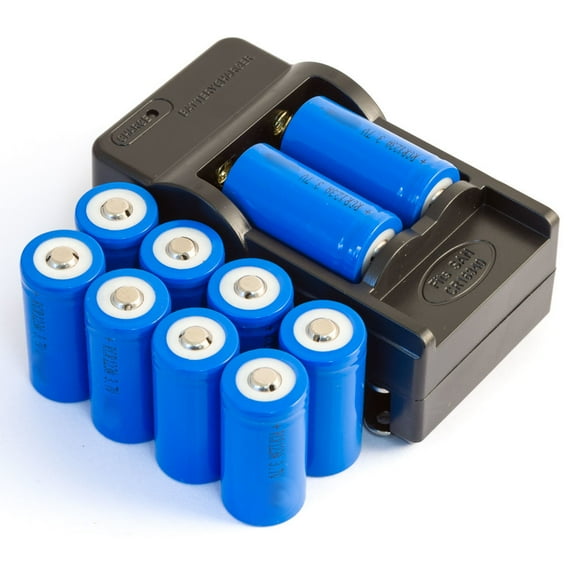 10 Pack of RCR123a 3.7V Rechargeable Batteries 16340 & Charger Works with Arlo