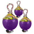 thumbnail image 2 of Mascotas alegres Jolly Pets RNR6-PURP, 2 of 3