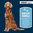 thumbnail image 3 of Sensitive Stomach & Skin Adult Dog Dry Food - Lamb & Rice, 3 of 4