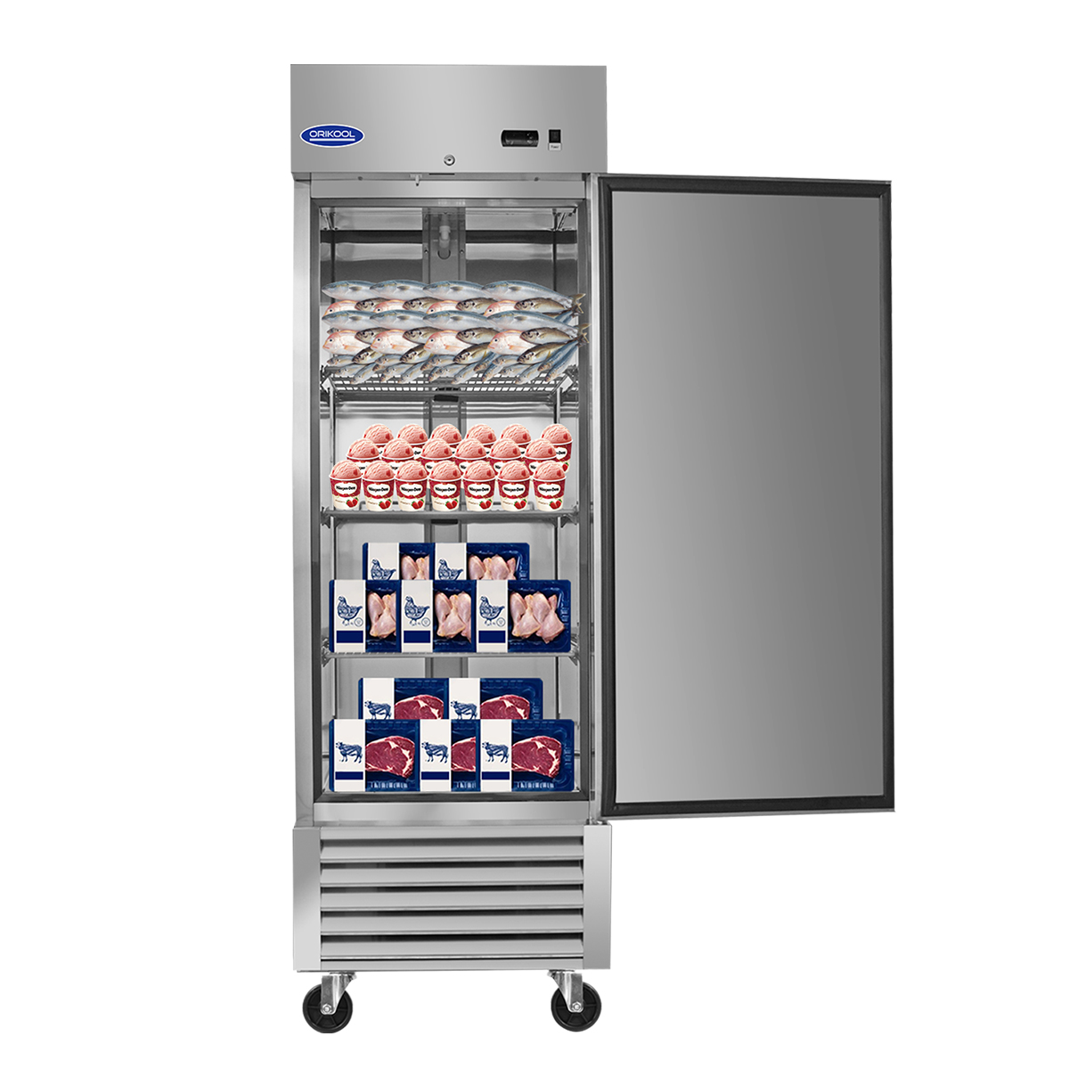 Ndrfhaj 23 cu ft Commercial Display Freezers, Stainless Steel