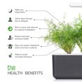 thumbnail image 4 of Click and Grow Smart Garden Dill Plant Pods, 3-Pack, 4 of 5