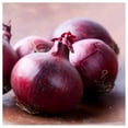 thumbnail image 4 of Everwilde Farms - 500 Red Grano Onion Seeds - Gold Vault Jumbo Bulk Seed Packet, 4 of 5