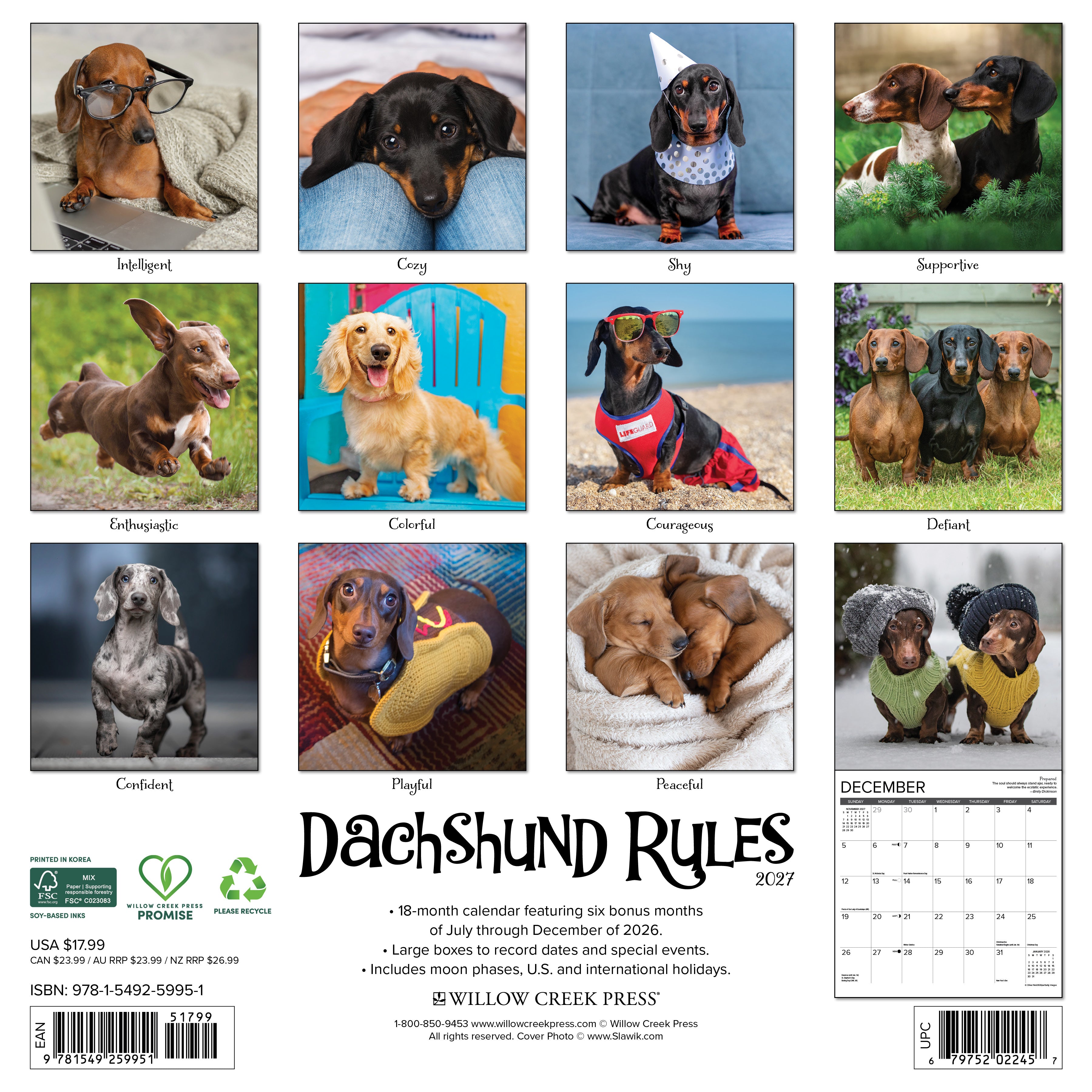 Willow Creek Press, Dachshund Rules 2027 Wall Calendar