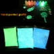 thumbnail image 3 of Polvo fluorescente, 100 g Pigmentos luminiscentes profesionales Color fosforescente Fotoluminiscencia No tóxica Aluminio Estroncio Aluminio Luces de neón Noches en pigmentos oscuros(Yellow Green) EOTVIA No, 3 of 6