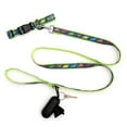thumbnail image 4 of Dino Lead, 4 of 4