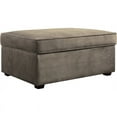 thumbnail image 1 of Serta Ottoman de Rangement Olin en Faon Sauvage, 1 of 5