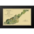 thumbnail image 2 of USFS 24x16 Black Modern Framed Museum Art Print Titled - Western North Carolina Forest Conditions 1909, 2 of 5