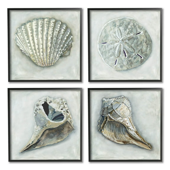 Stupell Industries Detailed Seashells Ocean Life Painting Black Framed Art Print Wall Art, Set of 4, Design by Erica Christopher