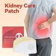thumbnail image 3 of Kidney Care Patch, Men Kidney Care Patch Massaging  for Daily, 3 of 8