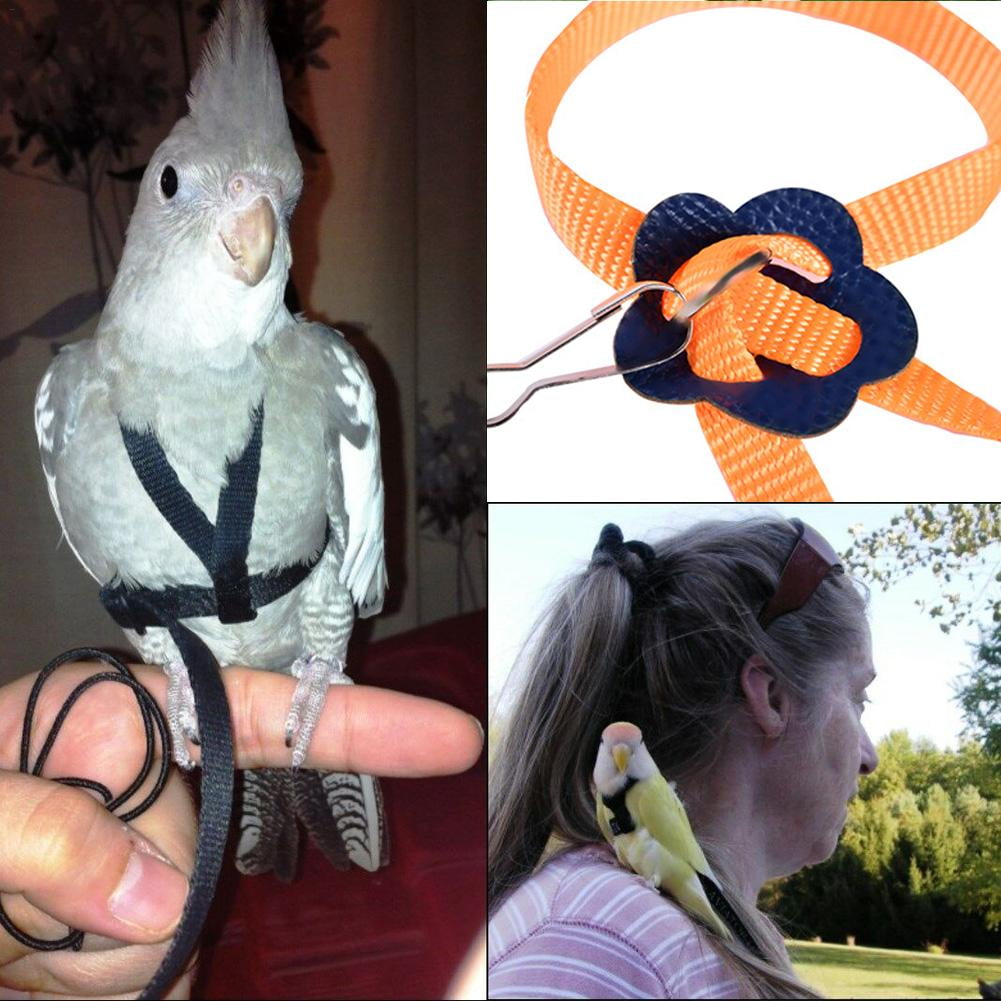 cockatiel bird harness leash