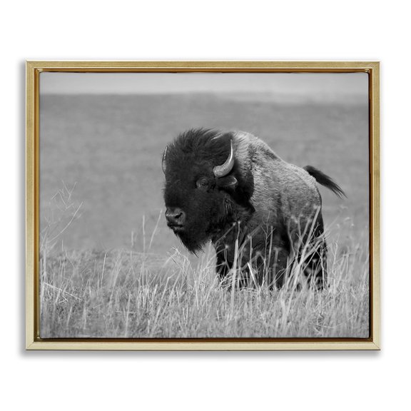 Stupell Industries Rustic Lodge Bison Grazing in Field Gold Floating Frame Canvas Art, 21 x 17, by Steve Toole