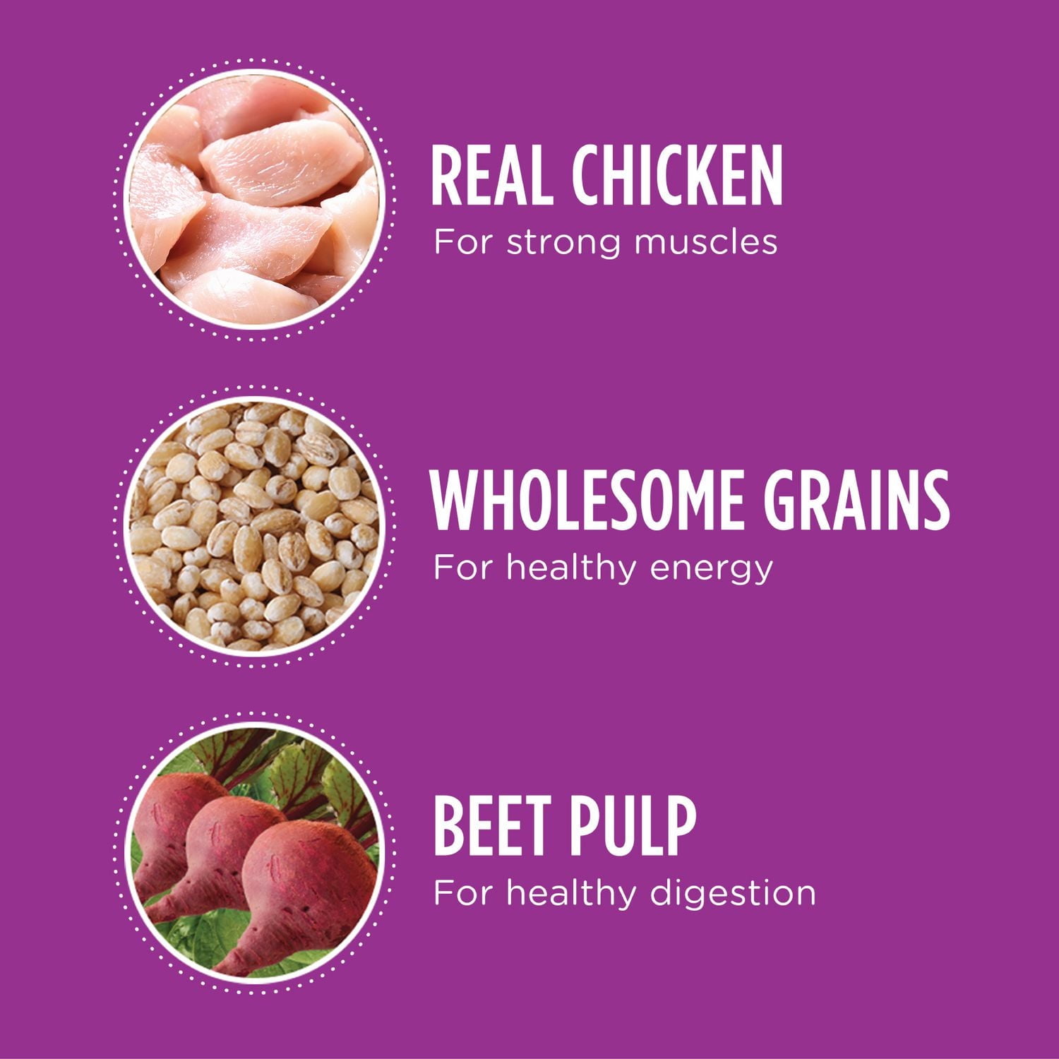 Nourriture sèche pour chiens âgés de grande race IAMS Recette avec poulet et grains entiers 13,6kg