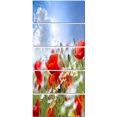 thumbnail image 2 of Beau Coquelicots Rouges sur Fond de Ciel - Toile Florale Art Imprimer, 2 of 3