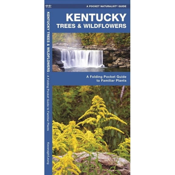 Wildlife and Nature Identification: Kentucky Trees & Wildflowers : A Folding Pocket Guide to Familiar Plants (Other)