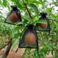 thumbnail image 3 of 100pcs Fruit Protection Bags, Fruit Bags for Fruit Trees, Green Netting Fruit Cover Bags Drawstring Mesh Fruit Protectors Pest Barrier for Fruit Trees Veggies Garden, Black 3.94x5.91in, 3 of 6