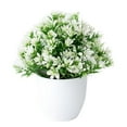 thumbnail image 2 of POINTERTECK Artificial Flowers Realistic Simulated Plastic Artificial Potted Flower for Home Decor White One Size, 2 of 13
