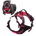 thumbnail image 3 of Arnés de chaleco de seguridad para perros, ligero, reflectante, , cómodo para , caminar, entrenar al aire libre, varios tamaños, perros M rojo Sunnimix Arnés de chaleco para perros, 3 of 7