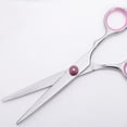 thumbnail image 4 of Tijeras para el cabello jinwen Tijeras de peluquería para mascotas Tijeras de pelo de acero inoxidable, 4 of 8