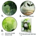 thumbnail image 3 of Designart "Lush Greenery Depicting Orangutans" Orangutan Floater Framed Canvas Wall Art, 3 of 5