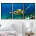 thumbnail image 3 of wall26 Framed Canvas Print Wall Art Set Turtle Glides Through The Blue Sea Animals Ocean Photography Realism Nautical Scenic Colorful Multicolor for Living Room, Bedroom, Office - 24"x36"x3, 3 of 5