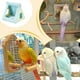 thumbnail image 3 of Vogelnest Cage – Paraquito Toy Bird Cage, Pet Hammock Parrot House Accessories, 3 of 5