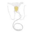 thumbnail image 1 of Urine Drainage Bag, Reusable 1000ML Urine Collector Valve Switch Portable Adjustable Wearable  For Home, 1 of 8
