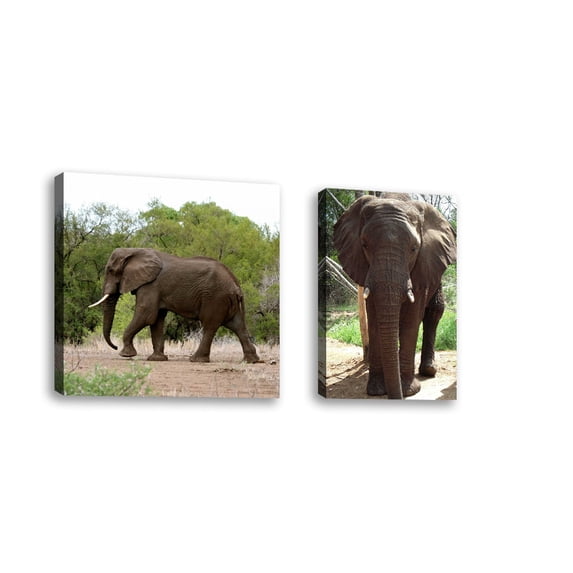 Set of 2 - Safari Elephant II - Contemporary Fine Art Giclee on Canvas Gallery Wrap - wall décor - Art painting - 13 x 19 Inch - Ready to Hang
