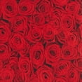 thumbnail image 5 of Jacob Alexander Red Floral Roses Flowers Design Extra Long Neck Tie for Big and Tall Men - Red, 5 of 7