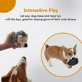 thumbnail image 4 of Juguetes Chirriantes para Perros, Juguetes para Masticar para Perros de Peluche de Erizo, Juguetes Interactivos Duraderos para Perros PequeñOs, Medianos y Grandes, B, 4 of 8
