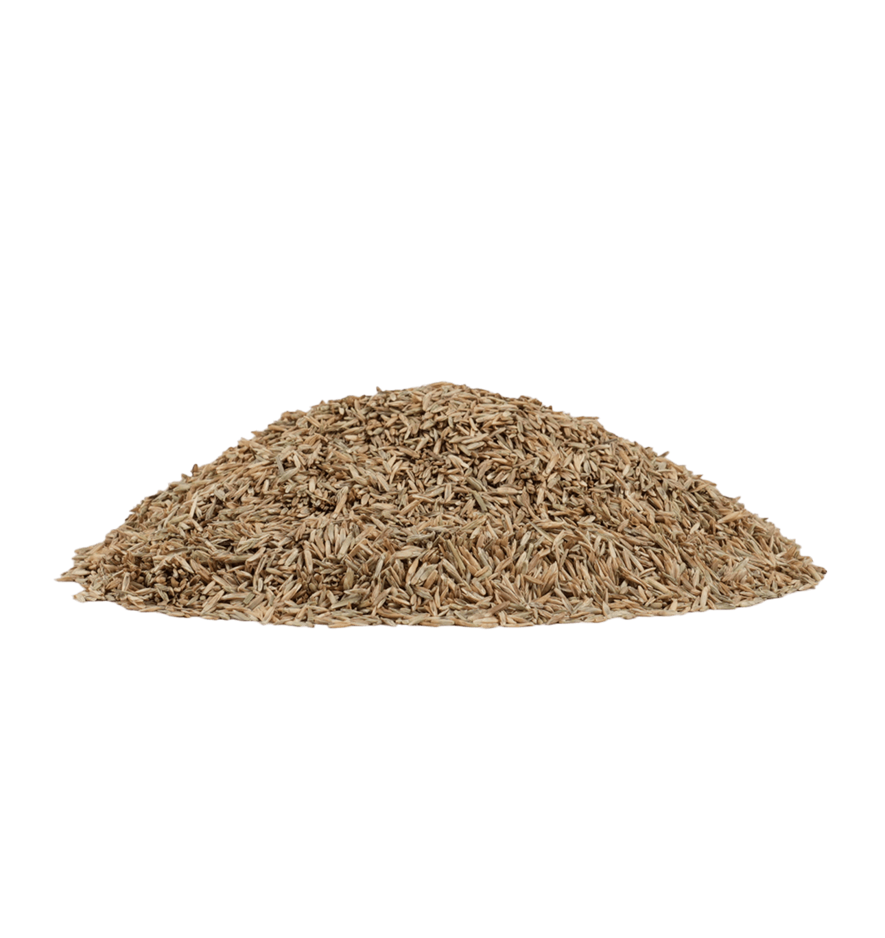 The Andersons Perennial Rye Blend Premium Grass Seed - 25lbs.