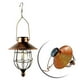 thumbnail image 1 of Linterna Solar Exterior Lámpara de Jardín, IP44 Impermeable Luces, Exterior Decorativa Iluminación para Camping, árboles, Pérgolas, Paredes DYNWAVEMX luz exterior impermeable, 1 of 8