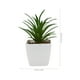 thumbnail image 5 of GOOHOCHY 2 piezas de plantas suculentas artificiales, plantas falsas de escritorio, bonsáis pequeños, bonsáis decorativos., 5 of 7