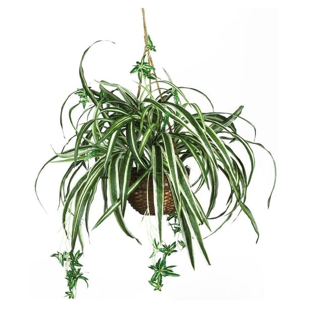 Cesta colgante con forma de araña casi natural con plantas artificiales, color verde