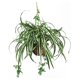 thumbnail image 1 of Cesta colgante con forma de araña casi natural con plantas artificiales, color verde, 1 of 4