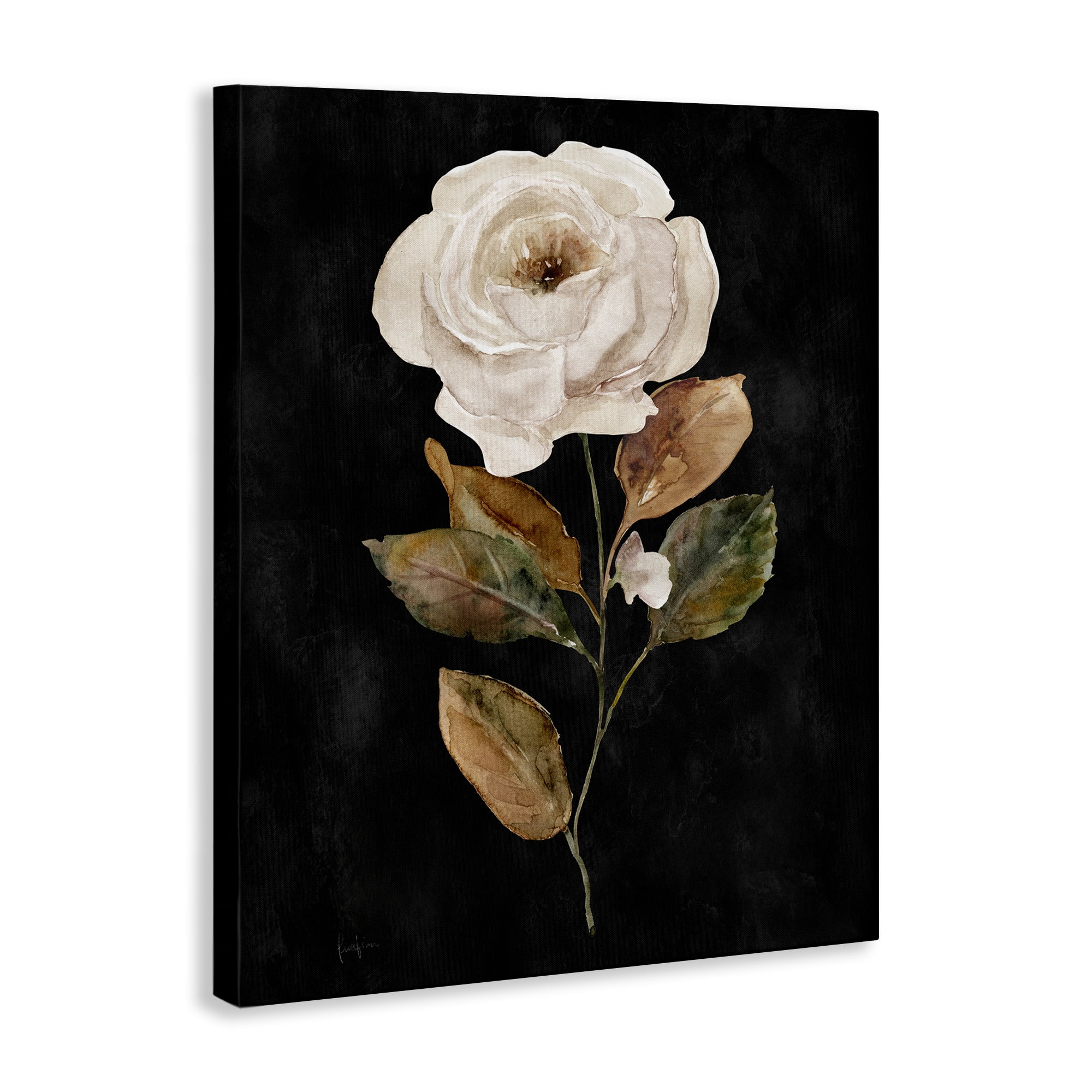 Stupell Industries White Rose on Black Plants & Flowers Painting Wrapped Canvas Art Print Wall Art, 36 x 48