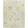 thumbnail image 3 of Surya Bodrum Traditional Style Low Pile 100% Polypropylene Area Rug, 7'x9' Ivory, Saffron, Charcoal, Brown, Blue Pet Friendly, Ind/Out, Machine Woven Stain Resistant,BDM2311-6119, 3 of 9