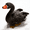 black, variant on Cute Simulation Swan Plush Stuffed Animals Toy Fluffy Sofa Chair Decor Body Pillow Birthday Gifts