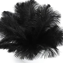 QZS Pack of 20 Natural Ostrich Plumes,8-10In Reusable Black Ostrich Feathers for Wedding Centerpieces,Home Decor,Party Decorations