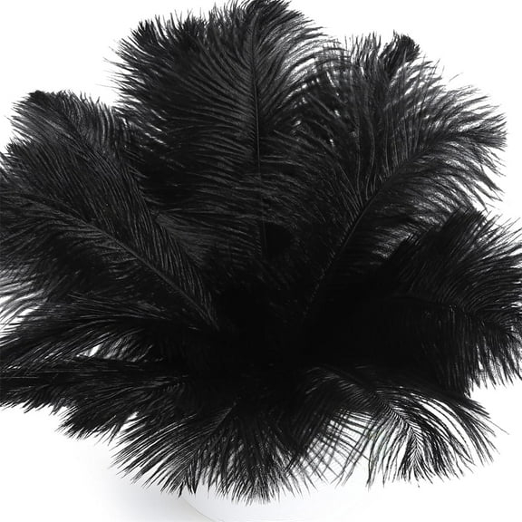 QZS Pack of 20 Natural Ostrich Plumes,8-10In Reusable Black Ostrich Feathers for Wedding Centerpieces,Home Decor,Party Decorations